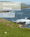 Shetlands sheep 100.png